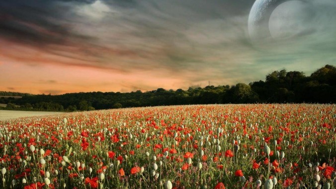 谷歌推出 Gemini 2.5 Flash-Lite 预览版本，哪些亮点值得关注？实际体验如何？